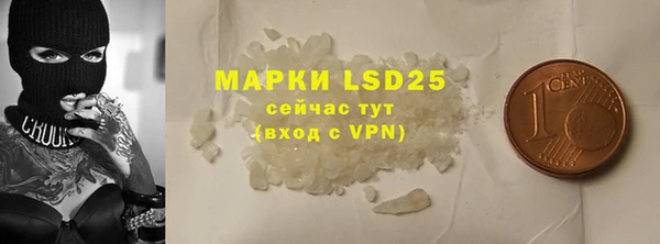 крисы Надым