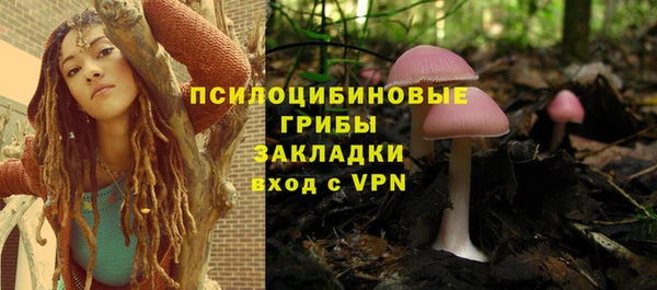 эйфоретик Нефтекумск